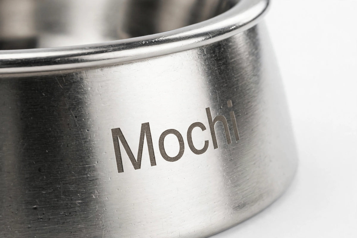 Engraved Stainless Steel Pet Food Bowl